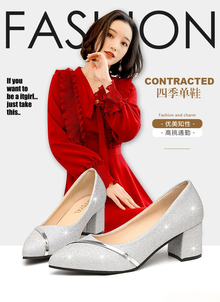 Fashion High Heels Women 2024 New Spring Autumn Matte All-match Thick Heel Pointed Toe Shallow Mouth Professional Women's Shoes