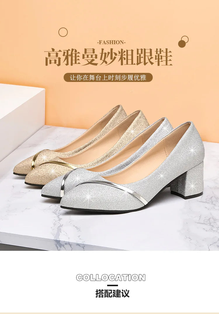 Fashion High Heels Women 2024 New Spring Autumn Matte All-match Thick Heel Pointed Toe Shallow Mouth Professional Women's Shoes