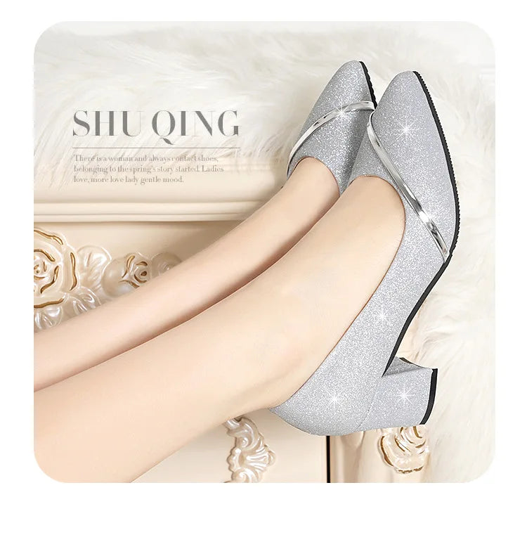 Fashion High Heels Women 2024 New Spring Autumn Matte All-match Thick Heel Pointed Toe Shallow Mouth Professional Women's Shoes