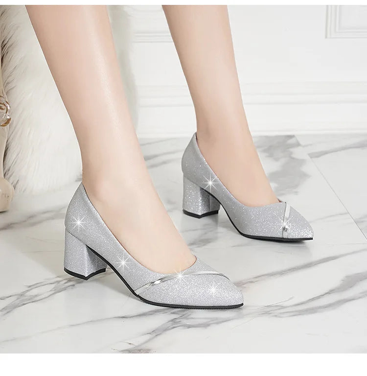 Fashion High Heels Women 2024 New Spring Autumn Matte All-match Thick Heel Pointed Toe Shallow Mouth Professional Women's Shoes