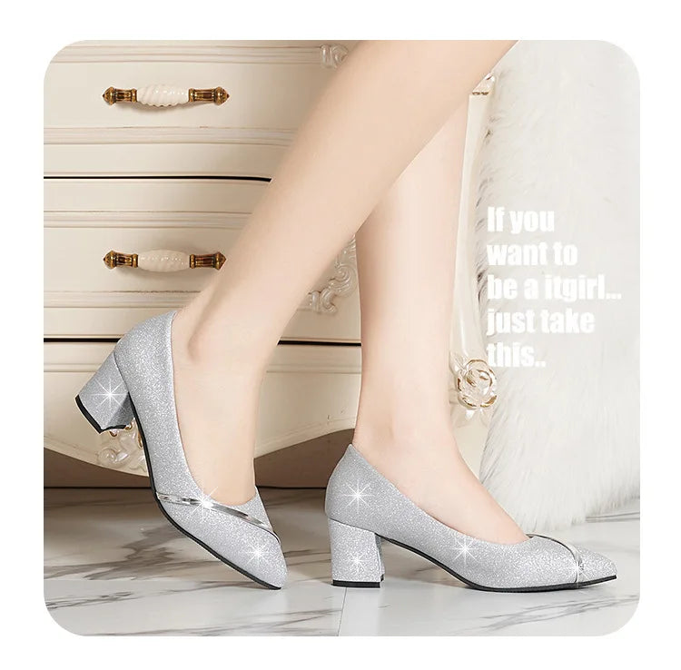 Fashion High Heels Women 2024 New Spring Autumn Matte All-match Thick Heel Pointed Toe Shallow Mouth Professional Women's Shoes