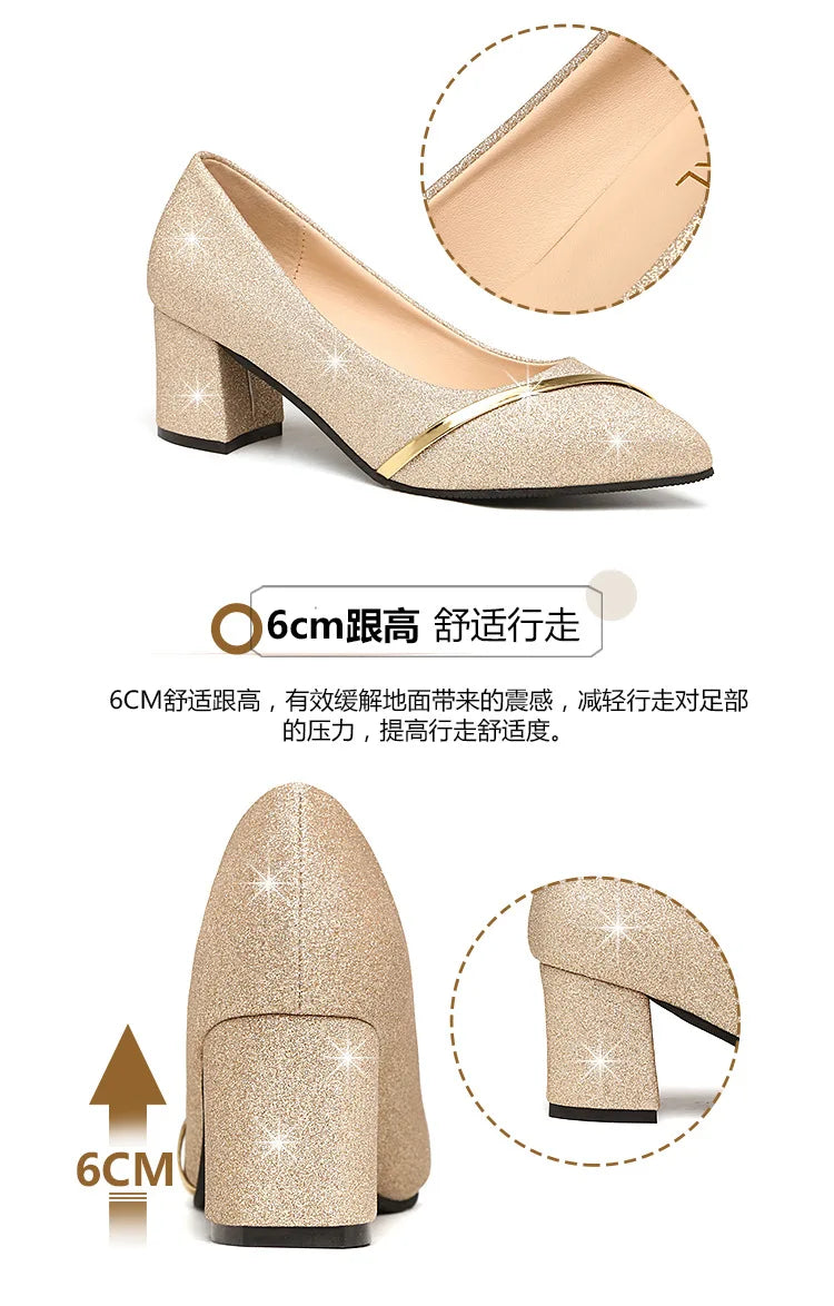Fashion High Heels Women 2024 New Spring Autumn Matte All-match Thick Heel Pointed Toe Shallow Mouth Professional Women's Shoes