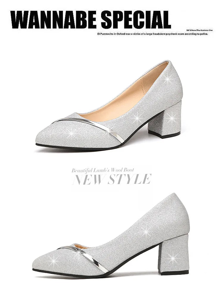 Fashion High Heels Women 2024 New Spring Autumn Matte All-match Thick Heel Pointed Toe Shallow Mouth Professional Women's Shoes