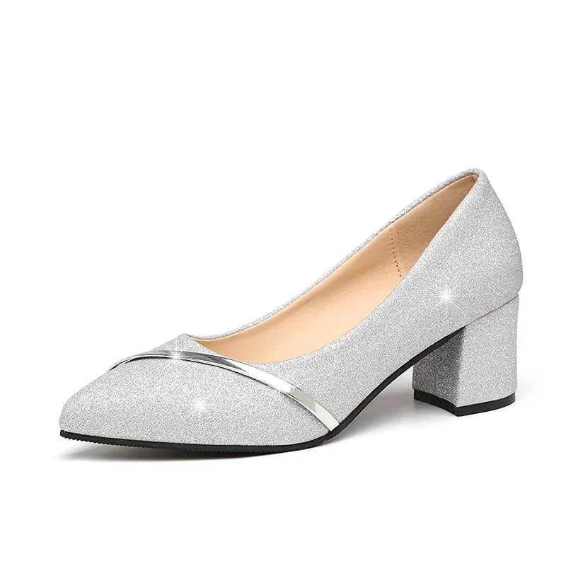Fashion High Heels Women 2024 New Spring Autumn Matte All-match Thick Heel Pointed Toe Shallow Mouth Professional Women's Shoes