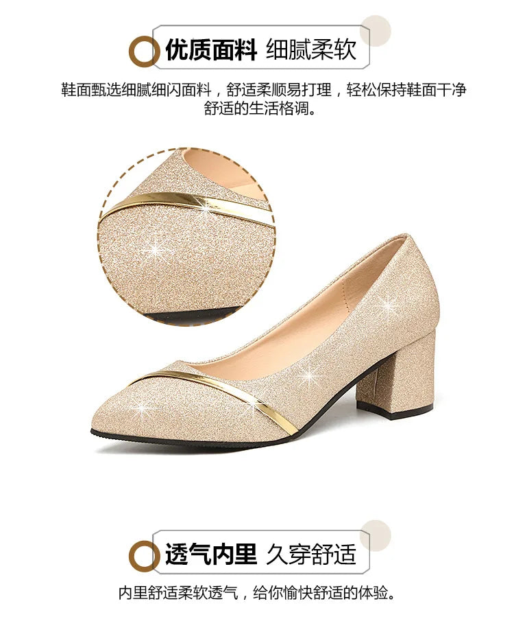 Fashion High Heels Women 2024 New Spring Autumn Matte All-match Thick Heel Pointed Toe Shallow Mouth Professional Women's Shoes