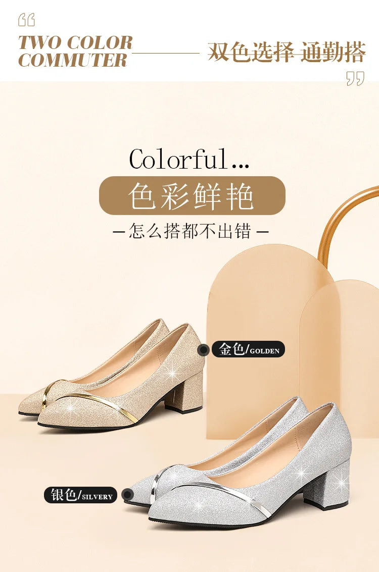 Fashion High Heels Women 2024 New Spring Autumn Matte All-match Thick Heel Pointed Toe Shallow Mouth Professional Women's Shoes