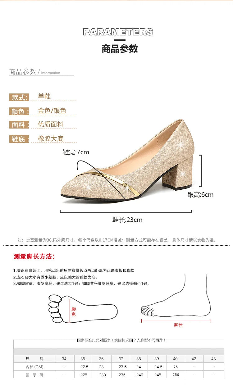 Fashion High Heels Women 2024 New Spring Autumn Matte All-match Thick Heel Pointed Toe Shallow Mouth Professional Women's Shoes