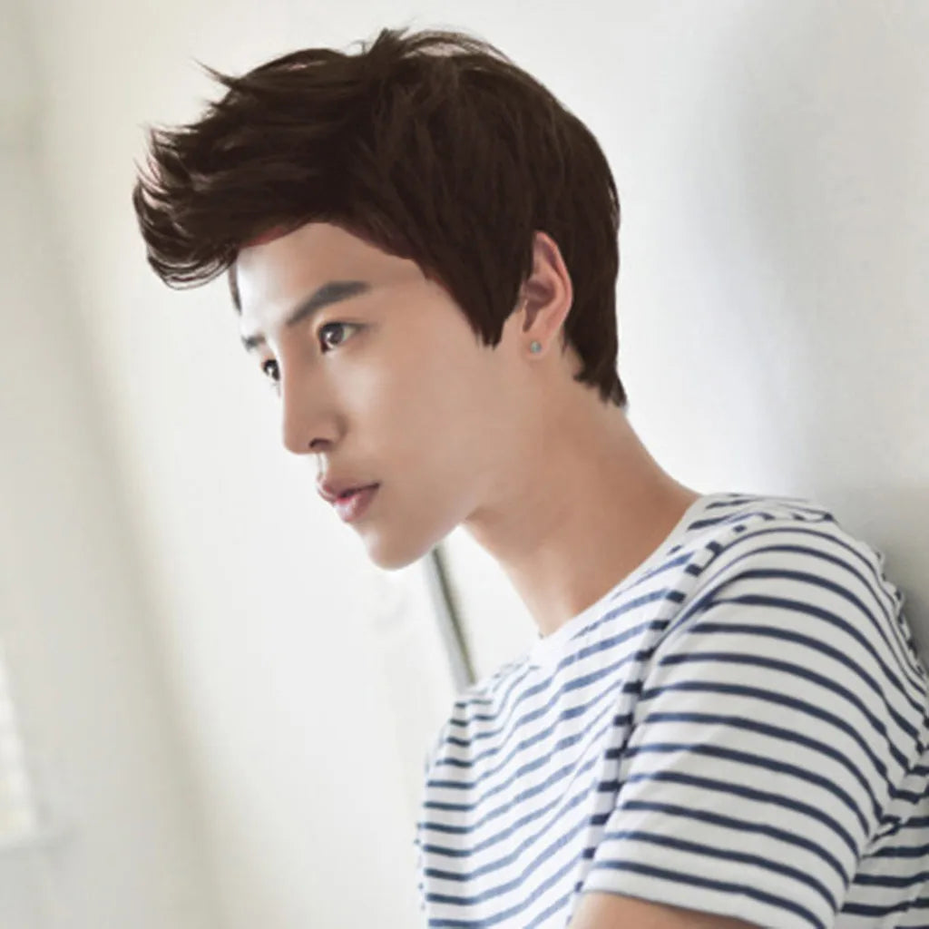 Short Men Wigs for Straight Synthetic Layer Hair For Man Male Guy Daily Cosplay Party Anime Costume Male Wigs