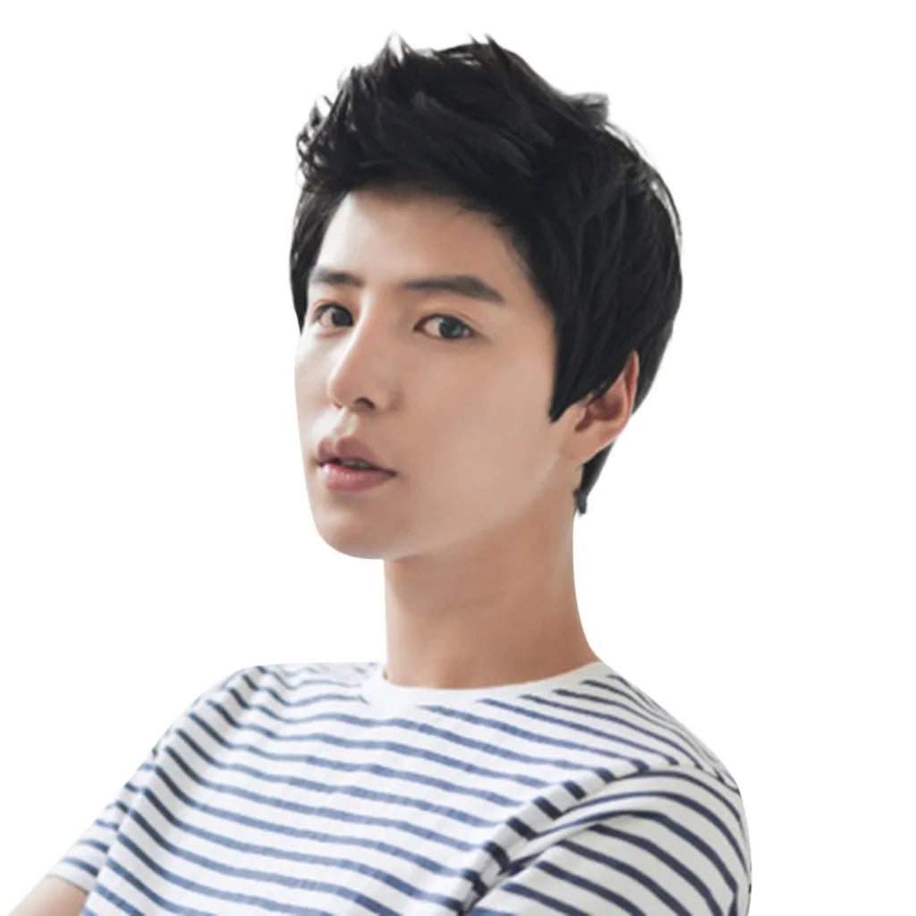 Short Men Wigs for Straight Synthetic Layer Hair For Man Male Guy Daily Cosplay Party Anime Costume Male Wigs