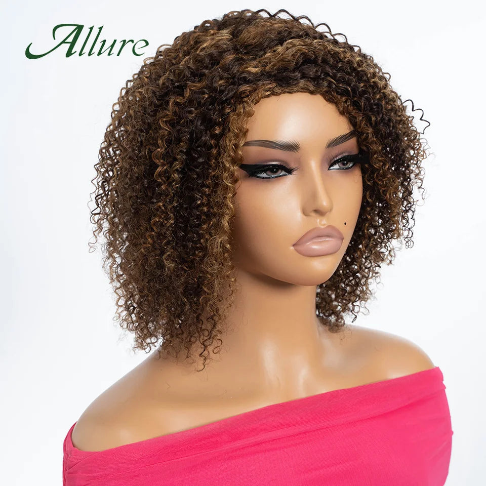 Curly Human Hair Wig Short Kinky Curly Wigs For Women 12inches Brown Afro Curly Human Hair Wigs On Clearance Sale 180density
