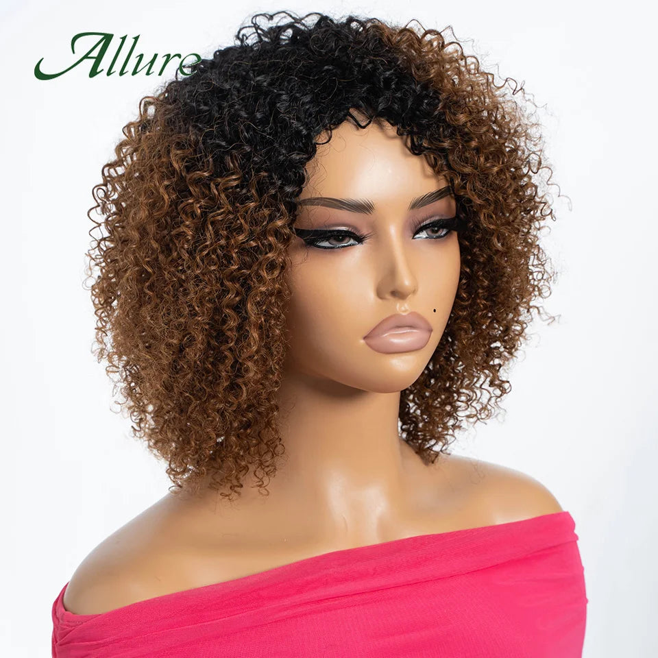 Curly Human Hair Wig Short Kinky Curly Wigs For Women 12inches Brown Afro Curly Human Hair Wigs On Clearance Sale 180density