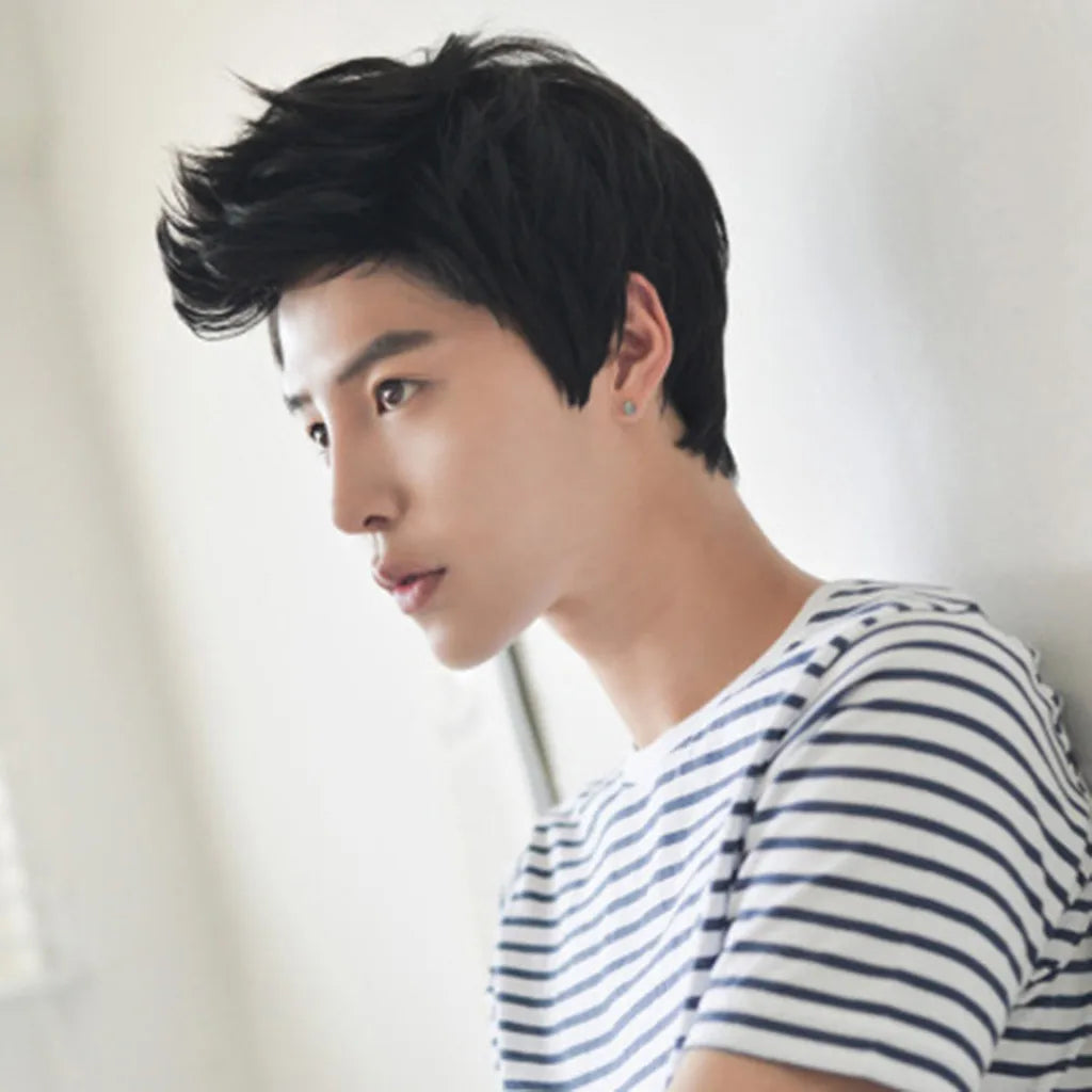 Short Men Wigs for Straight Synthetic Layer Hair For Man Male Guy Daily Cosplay Party Anime Costume Male Wigs