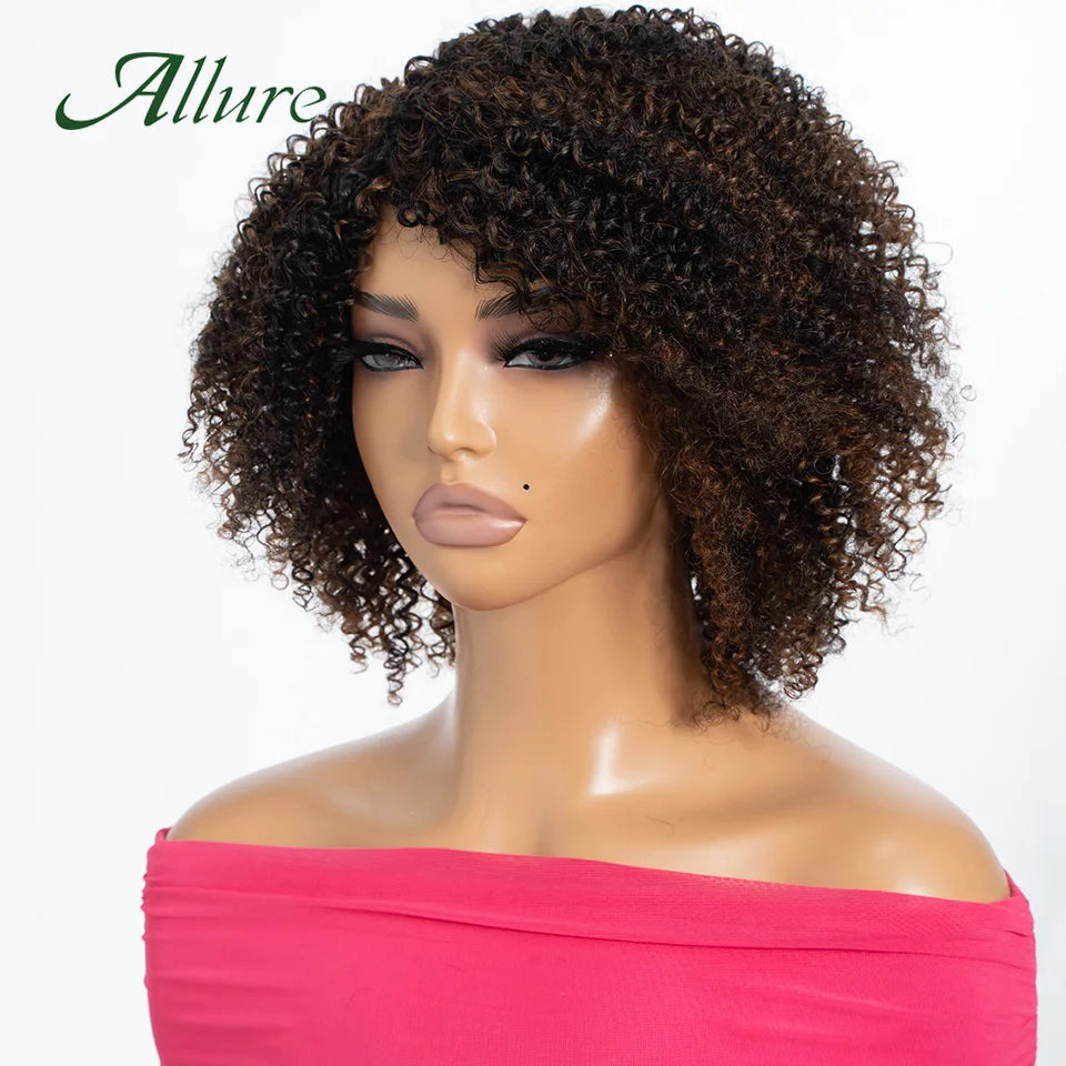 Curly Human Hair Wig Short Kinky Curly Wigs For Women 12inches Brown Afro Curly Human Hair Wigs On Clearance Sale 180density