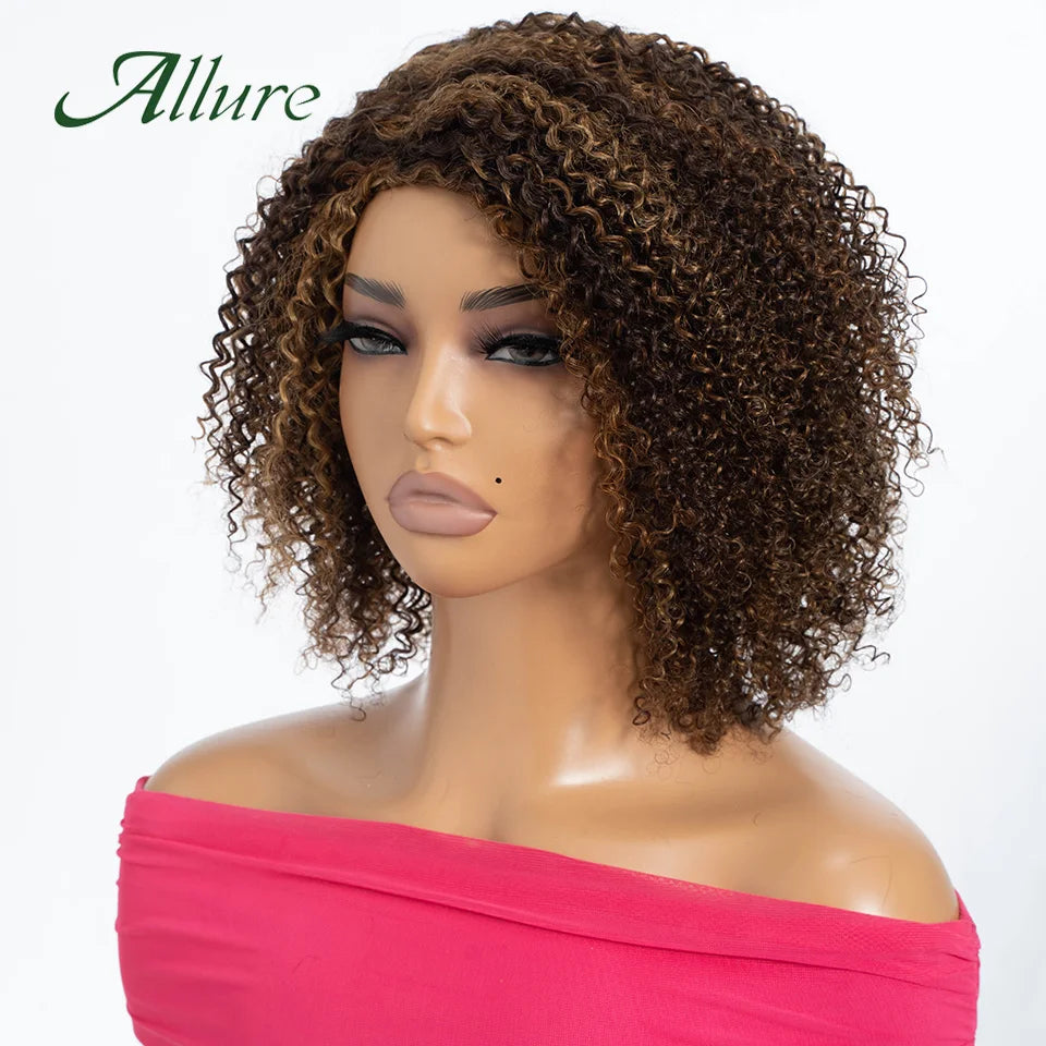 Curly Human Hair Wig Short Kinky Curly Wigs For Women 12inches Brown Afro Curly Human Hair Wigs On Clearance Sale 180density