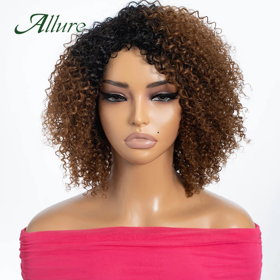 Curly Human Hair Wig Short Kinky Curly Wigs For Women 12inches Brown Afro Curly Human Hair Wigs On Clearance Sale 180density