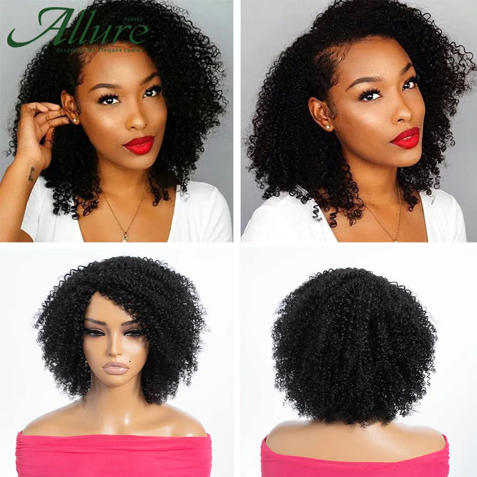 Curly Human Hair Wig Short Kinky Curly Wigs For Women 12inches Brown Afro Curly Human Hair Wigs On Clearance Sale 180density