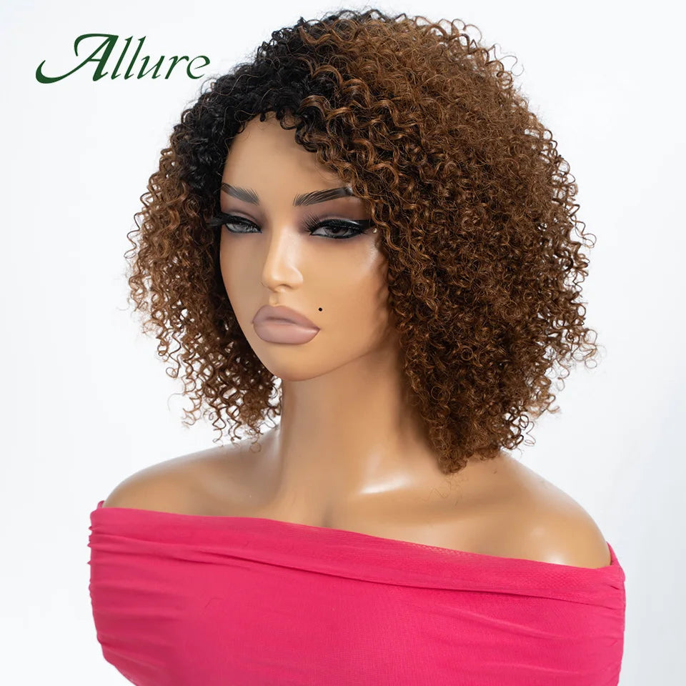 Curly Human Hair Wig Short Kinky Curly Wigs For Women 12inches Brown Afro Curly Human Hair Wigs On Clearance Sale 180density