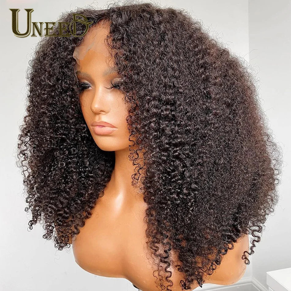 Kinky Curly Wig 13x4 Human Hair Lace Frontal Wigs Mongolian Kinky Curly Human Hair Lace Front Wig For Women 180% 200% Density