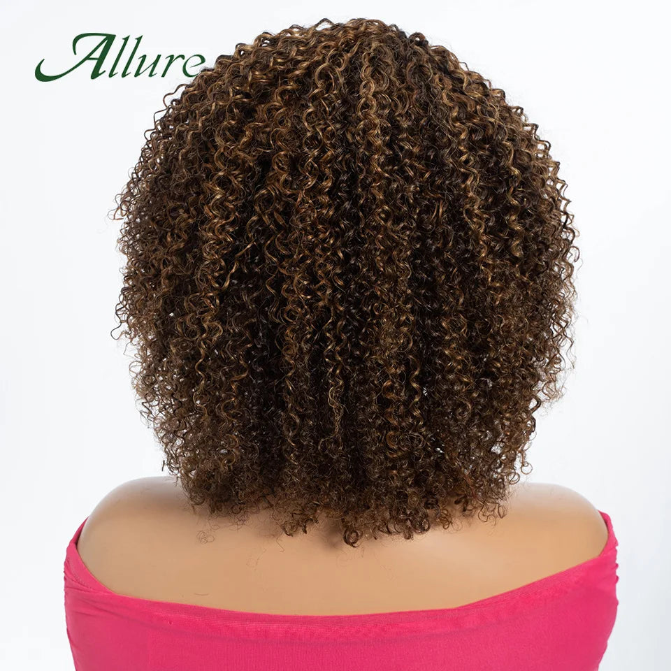 Curly Human Hair Wig Short Kinky Curly Wigs For Women 12inches Brown Afro Curly Human Hair Wigs On Clearance Sale 180density