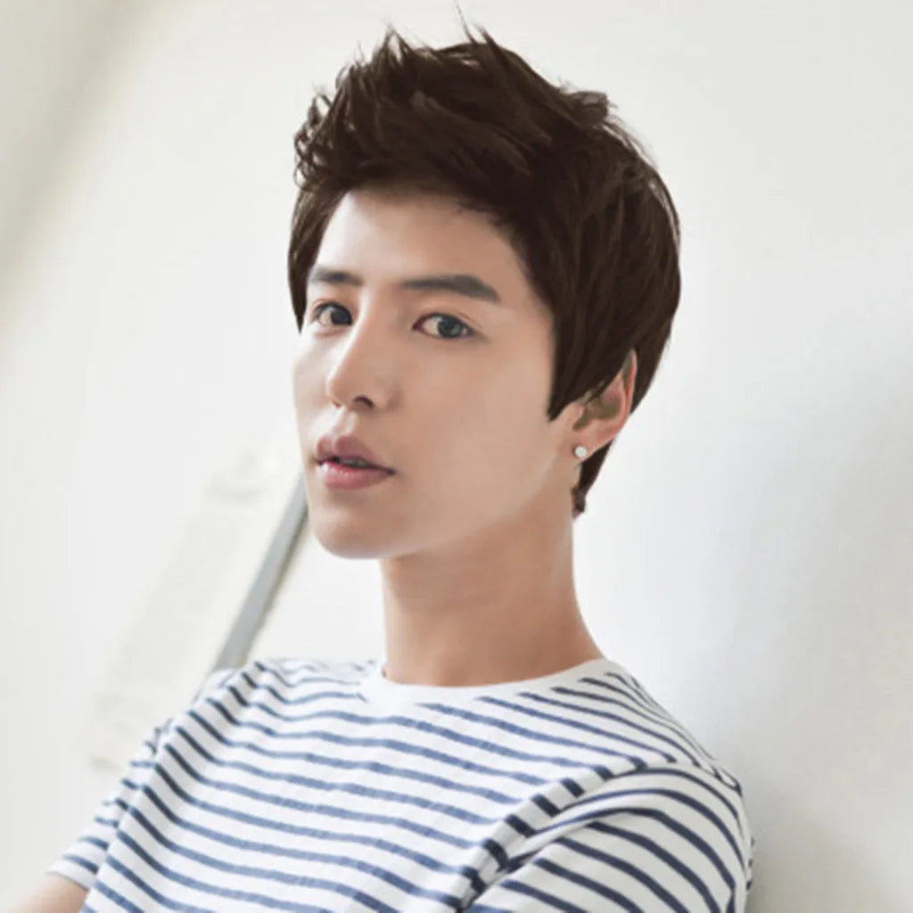 Short Men Wigs for Straight Synthetic Layer Hair For Man Male Guy Daily Cosplay Party Anime Costume Male Wigs