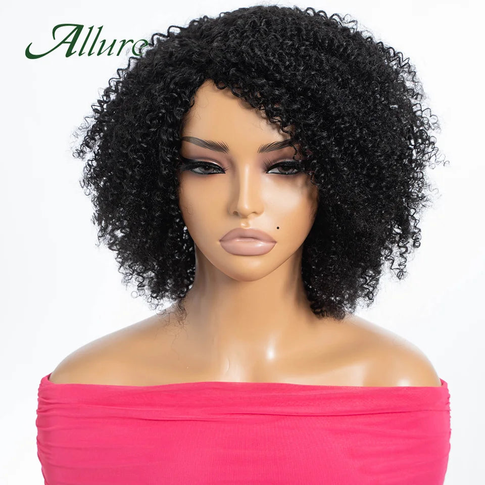 Curly Human Hair Wig Short Kinky Curly Wigs For Women 12inches Brown Afro Curly Human Hair Wigs On Clearance Sale 180density