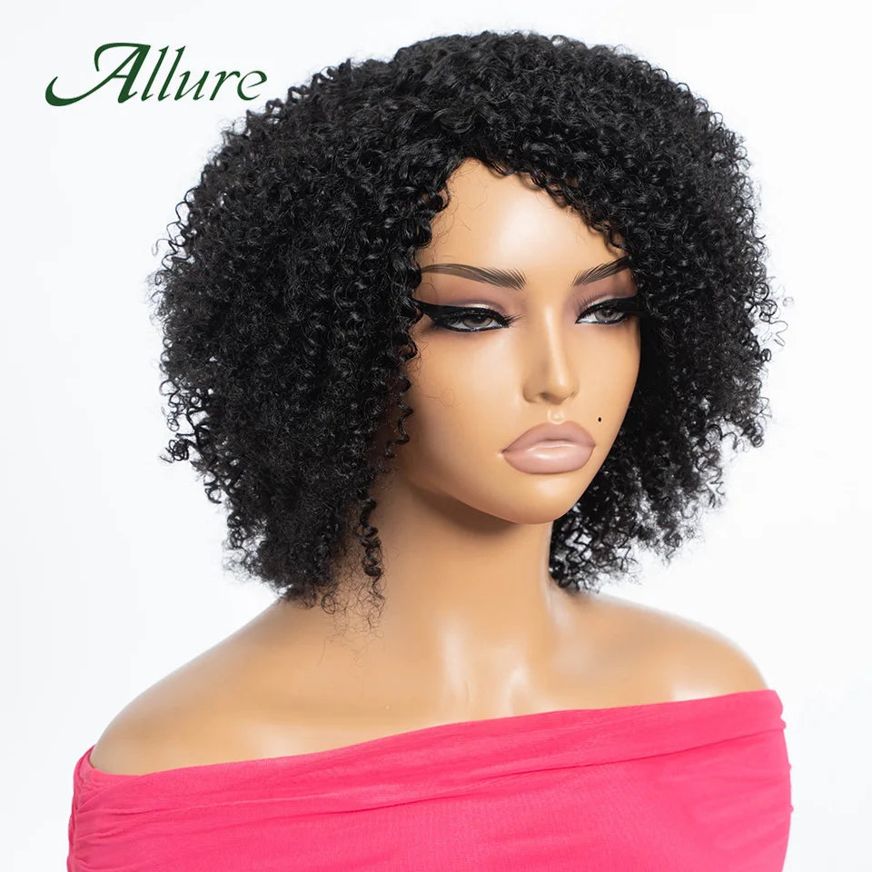 Curly Human Hair Wig Short Kinky Curly Wigs For Women 12inches Brown Afro Curly Human Hair Wigs On Clearance Sale 180density