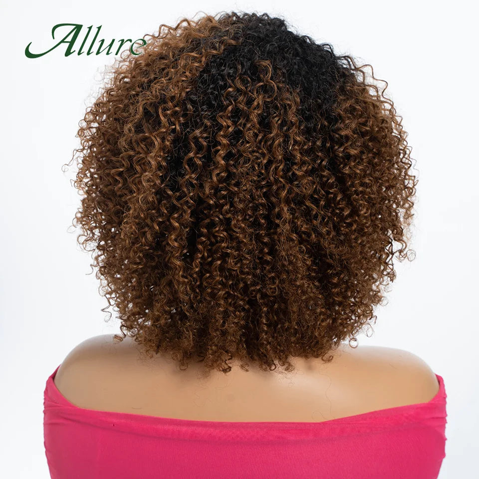 Curly Human Hair Wig Short Kinky Curly Wigs For Women 12inches Brown Afro Curly Human Hair Wigs On Clearance Sale 180density