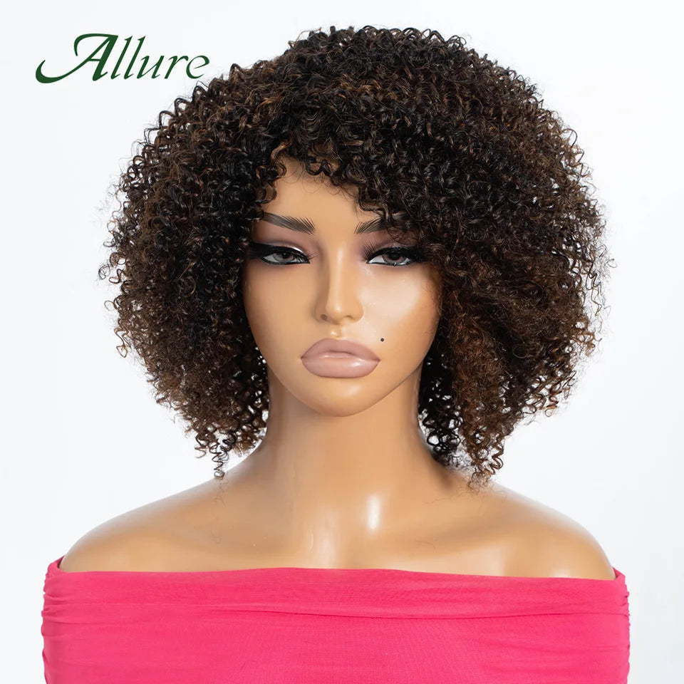 Curly Human Hair Wig Short Kinky Curly Wigs For Women 12inches Brown Afro Curly Human Hair Wigs On Clearance Sale 180density
