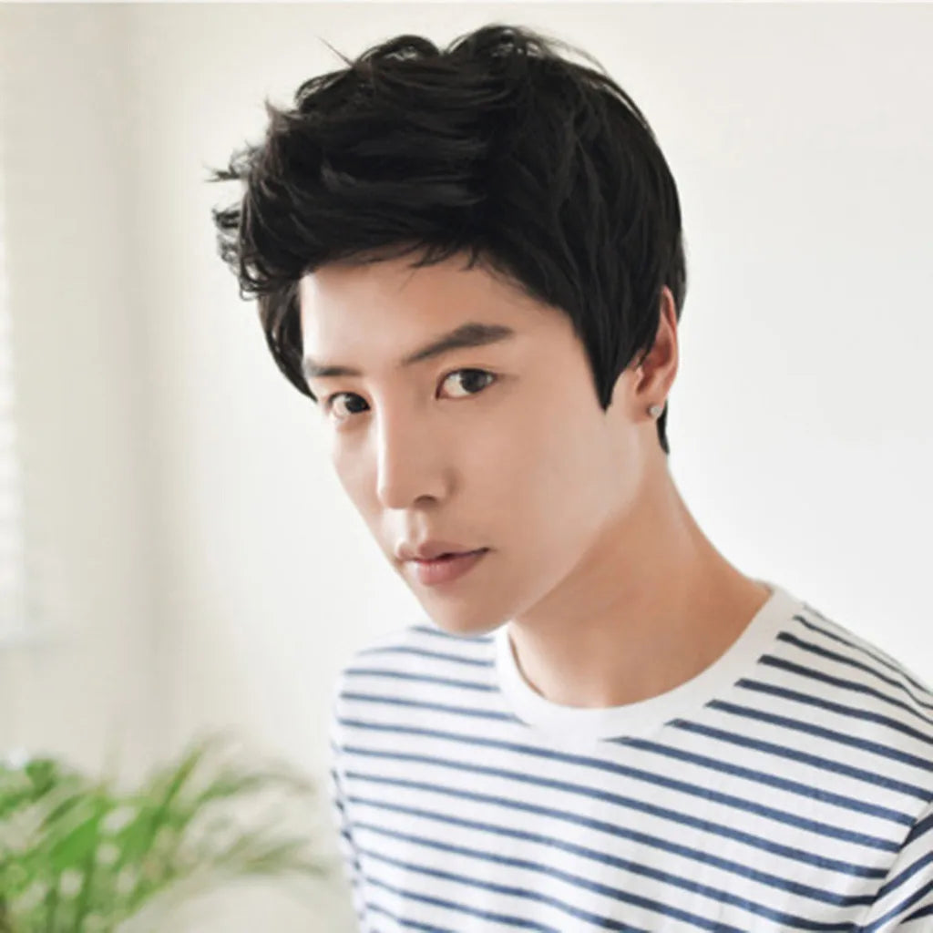 Short Men Wigs for Straight Synthetic Layer Hair For Man Male Guy Daily Cosplay Party Anime Costume Male Wigs