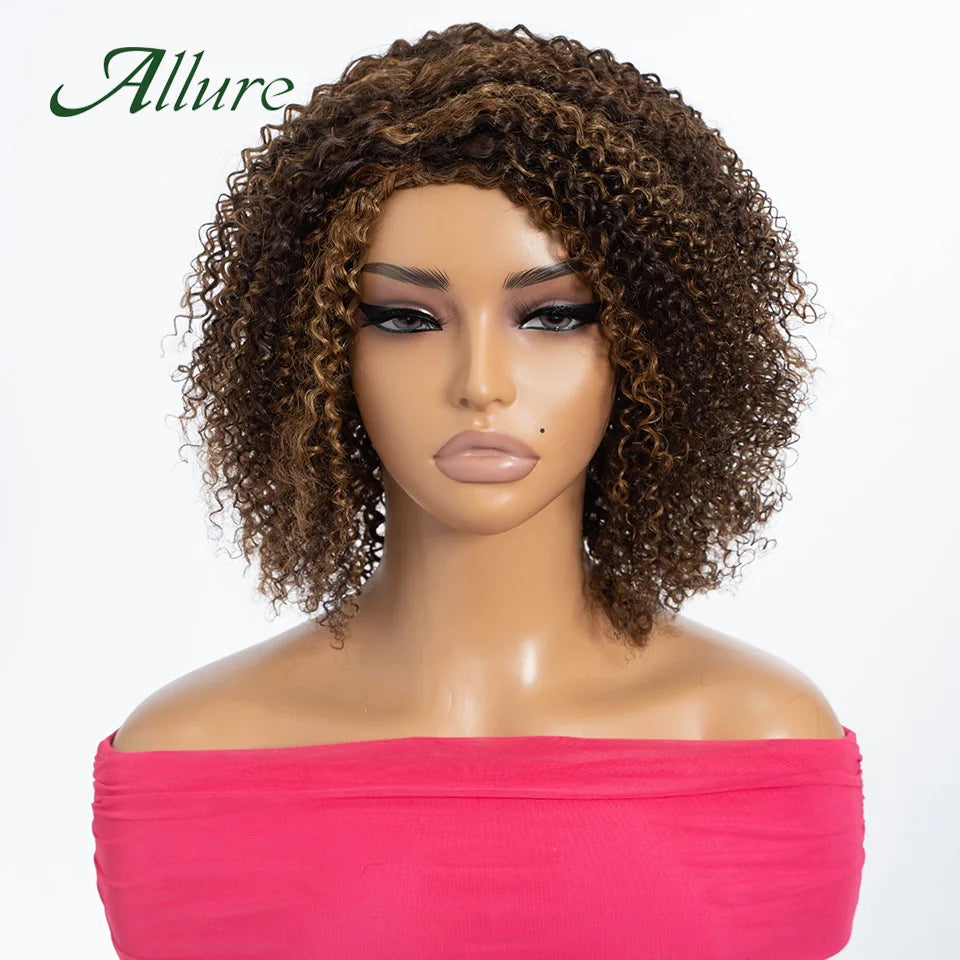 Curly Human Hair Wig Short Kinky Curly Wigs For Women 12inches Brown Afro Curly Human Hair Wigs On Clearance Sale 180density