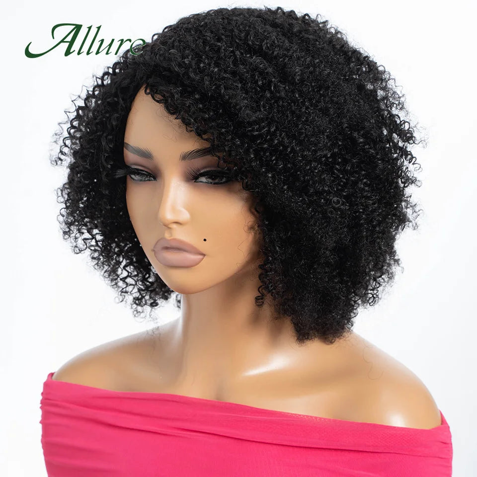 Curly Human Hair Wig Short Kinky Curly Wigs For Women 12inches Brown Afro Curly Human Hair Wigs On Clearance Sale 180density